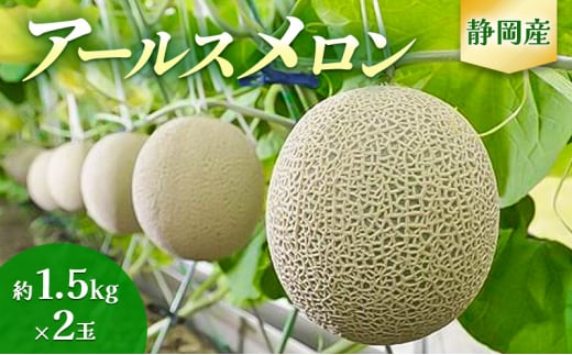 【2025年7月より順次発送】アールスメロン 2個 セット 約1.5kg×2個 静岡県浜松市産 メロン 2玉 果物 フルーツ 静岡 浜松市 三ヶ日 [№5360-0140]