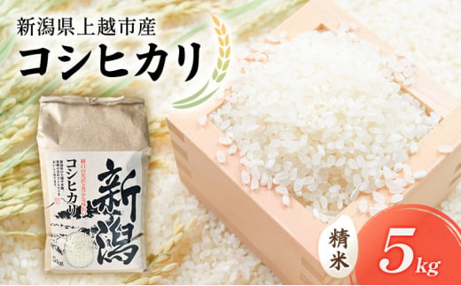 【新潟県上越市産】コシヒカリ（特別栽培米）　5kg 米 お米 こしひかり ご飯 精米 新潟 上越