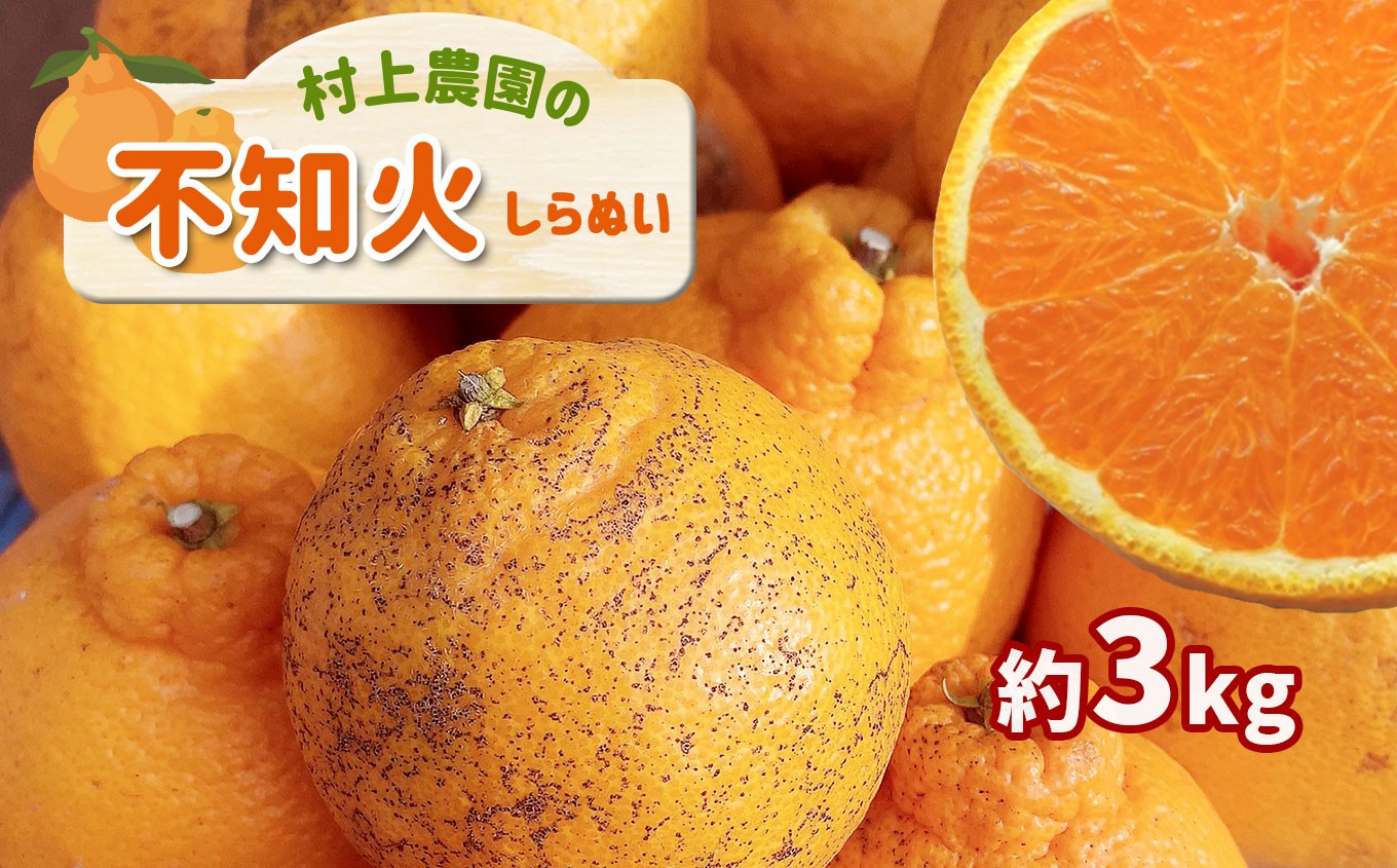 
            『 村上農園 』 不知火 3㎏ | フルーツ 果物 くだもの 柑橘 柑橘類 みかん ミカン 不知火 しらぬい ハウスみかん 熊本県 玉名市
          