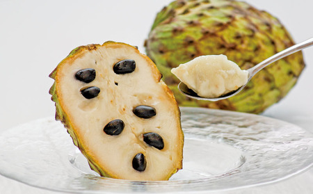 A1-22548／【家庭用】 垂水産温泉アテモヤ 1kg 森のアイスクリーム 希少な国産アテモヤ 訳あり