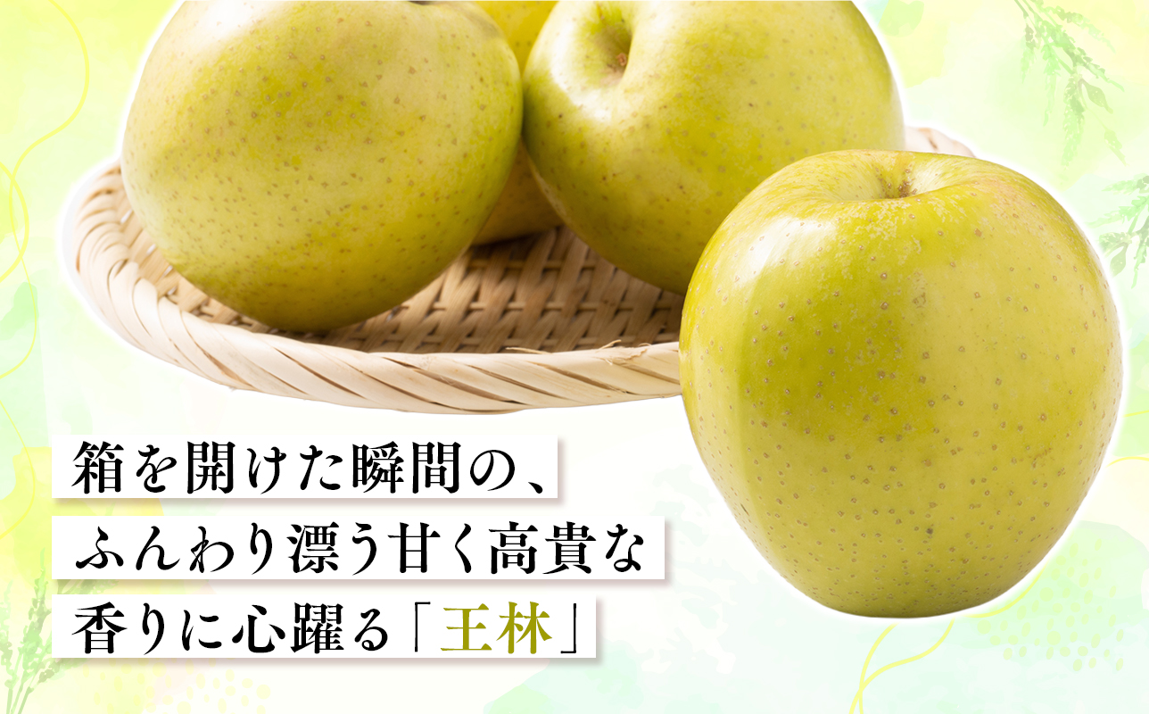2026年11月～12月発送　【訳あり】家庭用王林 約3kg【原田農園】