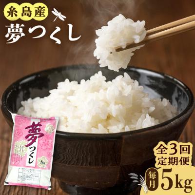 ふるさと納税 糸島市 【全3回定期便】糸島産 夢つくし 5kg 糸島市/三島商店 [AIM005]