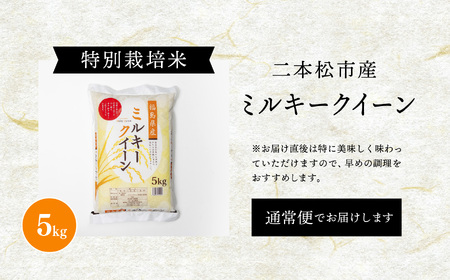 《2025年11月上旬以降順次発送》二本松市産ミルキークイーン5kg 米 精米 ミルキークイーン 5kg 特別栽培 お米 こめ おすすめ お中元 お歳暮 ギフト 二本松市 ふくしま 福島県 送料無料【