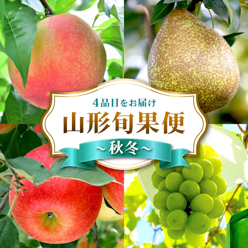 【ふるさと納税】 【2026年先行予約】山形旬果便 ～秋冬～ 白桃 シャインマスカット ラ・フランス サンふじりんご FSY-2544