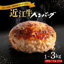 【ふるさと納税】 近江牛 ハンバーグ 淡路島 玉ねぎ入り 200g /5~15個 1kg 2kg 3kg ( 5個 10個 15個 ) 選べる 容量 個包装 肉汁 たっぷり 牛肉 合挽き ジューシー 冷凍 ギフト 黒毛和牛 キャンプ アウトドア 贈り物 好評 神戸牛 松阪牛 に並ぶ 日本三大和牛 滋賀県 竜王町