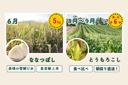 旬の野菜セット 5回 定期便  野菜 百合 美瑛の四季【令和8年産予約受付】 