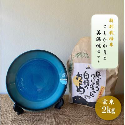 ふるさと納税 多治見市 【令和7年産:玄米】特別栽培米コシヒカリ(2kg)+【美濃焼】青輝貫入7寸皿
