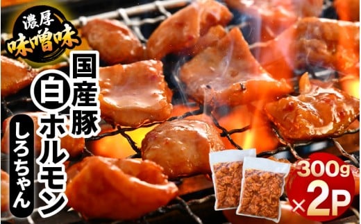 国産豚 白ホルモン しろちゃん 濃厚味噌味 300g × 2p (計600g) 【豚 豚肉 ぶた ホルモン ほるもん 豚腸 味噌 濃厚 おつまみ おかず 夜のおかず 夜ごはん 味付き 冷凍 国産】  [A-12433]