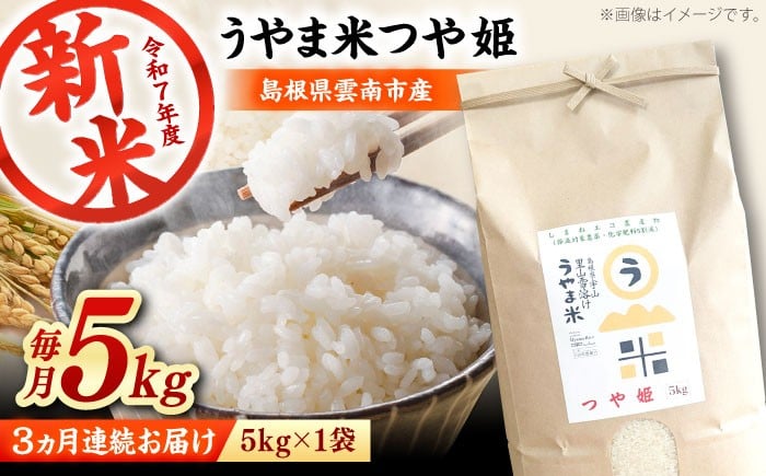 
            お米【全3回定期便】神話の里/吉田町「うやま米」つや姫 5kg（5kg×1）白米 精米 コメ おこめ お米 つやひめ 定期便 おすすめ 人気 米 ごはん ご飯 食卓 主食 ブランド米 お取り寄せ グルメ ご当地米 家族 ファミリー 一人暮らし 便利 5キロ おいしい ごはんソムリエ ミネラル 国産 新生活 お弁当 朝ごはん 朝食 昼食 ご当地 島根県雲南市/有限会社藤本米穀店 [AIDB089]
          