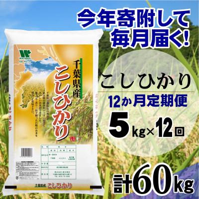 ふるさと納税 大網白里市 【毎月定期便】コシヒカリ 精米 5kg(5kg×1袋)全12回
