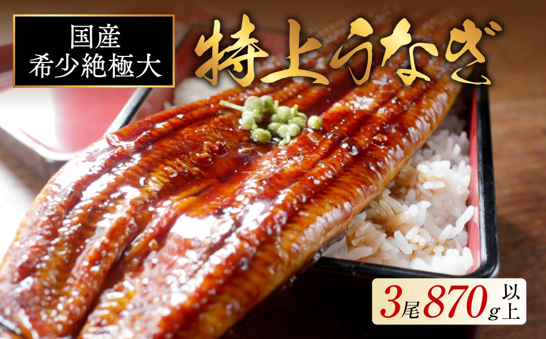 
                  国産 希少 超極大 特上うなぎ 290g 3尾 （ 国産 うなぎ 鰻 ウナギ 蒲焼き 蒲焼 かばやき 魚 魚介 魚貝 海鮮 うな重 ひつまぶし 蒲焼 訳あり ギフト 人気 おすすめ 北海道 別海町 290g 3尾 国産 うなぎ 鰻 ウナギ 蒲焼き 蒲焼 かばやき 魚 魚介 魚貝 海鮮 うな重 ひつまぶし 蒲焼 訳あり ギフト 人気 おすすめ）
                