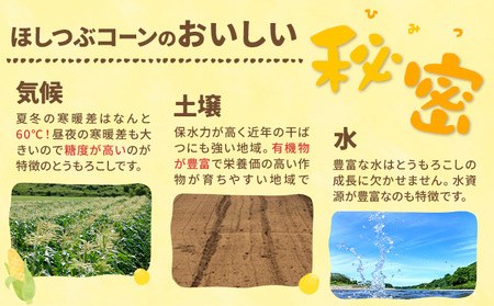 北海道産 ほしつぶコーン 18本 ジャンボサイズ 2026年予約 おかだ農園