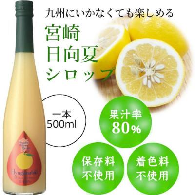 ふるさと納税 水俣市 九州を飲む! 九州果実 シロップ 日向夏 500ml 1本 【福田農場】 |  | 01