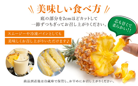 2024年 先行予約 スナックパイン 約3kg 3～5個入 ☆『ちぎる派！？切る派！？』☆ 