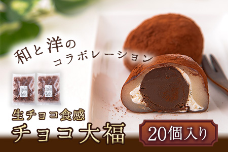 生チョコ食感 チョコ大福 20個 北九食品株式会社 《30日以内に出荷予定(土日祝除く)》大福 和菓子 スイーツ 福岡県 鞍手郡 鞍手町