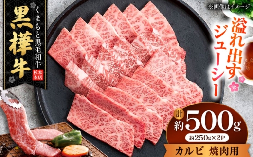 くまもと黒毛和牛 黒樺牛 A4～A5等級 カルビ 焼肉用 約500g（約250g×2P）/ 熊本 黒毛和牛 牛肉 A5ランク A4ランク 黒樺牛 国産肉 国産牛 カルビ 焼き肉 【株式会社杉本本店】[AYBJ032]