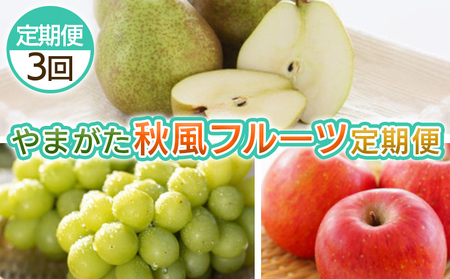 【定期便3回】やまがた 秋風フルーツ定期便 【令和8年産先行予約】FS25-697 くだもの 果物 フルーツ 山形 山形県 山形市 2026年産