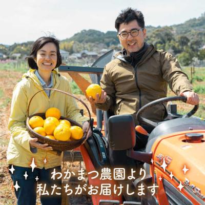 ふるさと納税 糸島市 【全6回定期便】【植物 由来】 万能 濃縮 甘夏 みかん 洗剤/わかまつ農園 [AHB021] |  | 03
