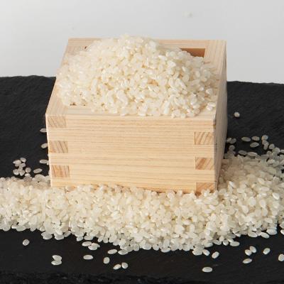 ふるさと納税 鹿沼市 コシヒカリ　さつきの舞　吟選　精米　10kg(5kg×2袋) |  | 02