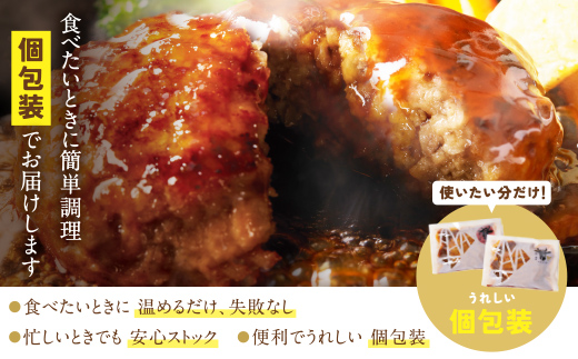 【4回定期便】どっちのハンバーグ(デミグラスソース)20個【ビーフ・合挽 各10個】