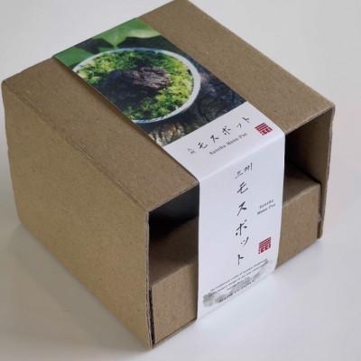 ふるさと納税 安城市 三州モスポット(sanshu moss pot) | 