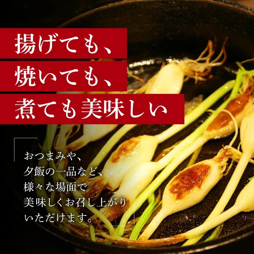 にんにくスプラウト 60個入り グリーンラボ近江 滋賀県 東近江市 A04 にんにく ニンニク 無臭 料理 食材 水耕栽培 野菜 天ぷら