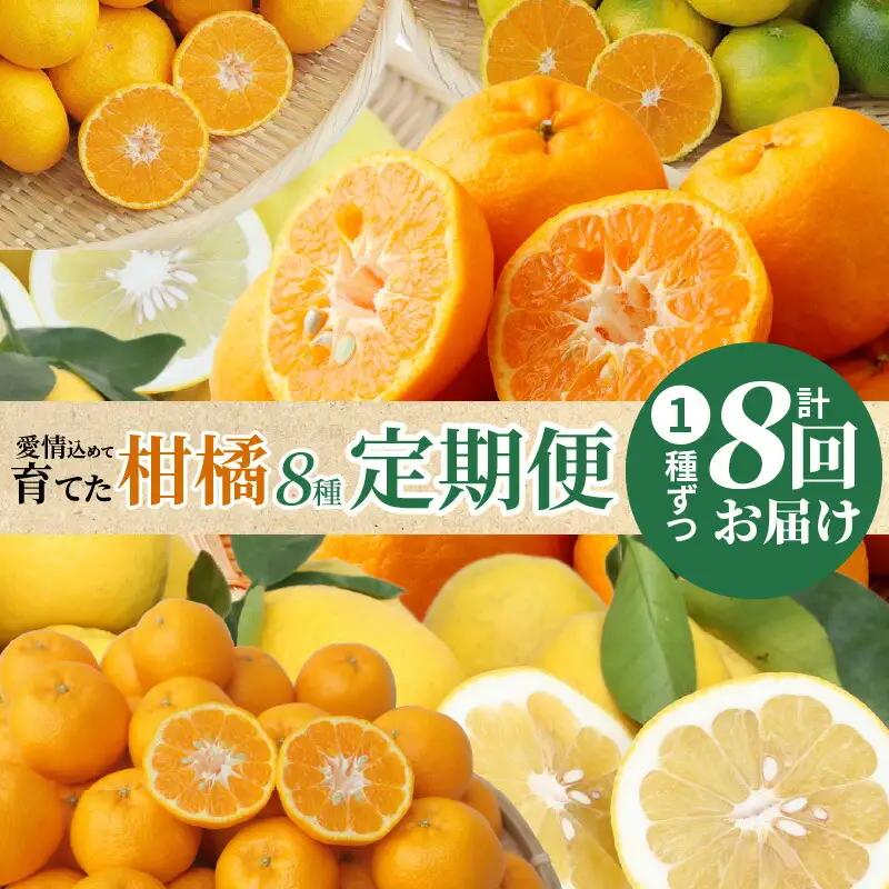 S040-019A_【定期便8回】天草 下浦地区の農家が愛情込めて育てた柑橘8種食べ尽しコース〈先行予約〉/ ポンカン みかん 晩柑 柑橘 不知火 ミカン