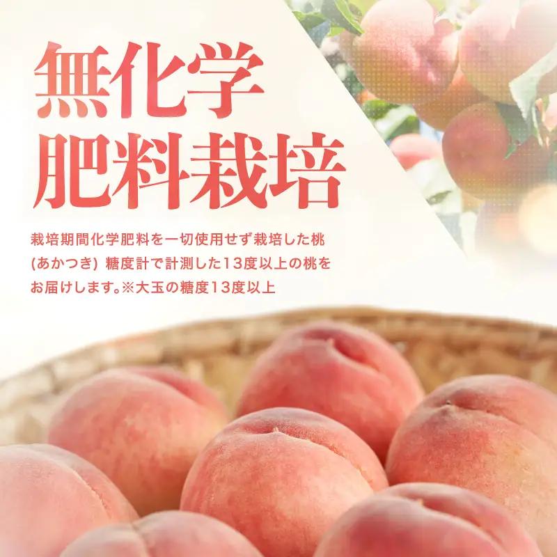 桃 あかつき 糖度13度以上 約3kg 9～10個入 【2026年7月中旬～発送】