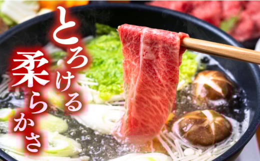 すきやき【厳選部位】 【A4～A5】長崎和牛 サーロイン しゃぶしゃぶ すき焼き 用　1kg（500g×2p）＜株式会社MEAT PLUS＞ [CFT009]