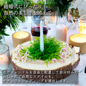 木のまんま　高さ5センチ×直径20-30センチ 重量約2kg　丸太の輪切り｜丸太 輪切り 丸太輪切り 木材 ふるさと納税 伊那市 長野県 信州【011-99】