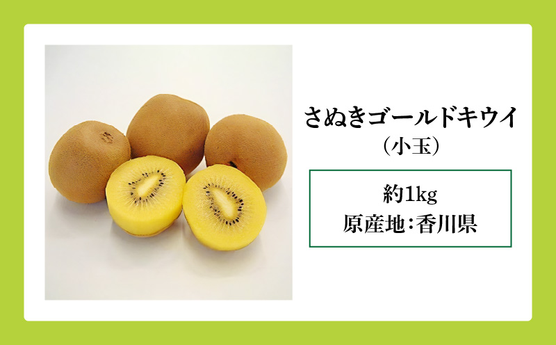 訳あり ご家庭用 さぬきゴールドキウイ (小玉) 約1kg【2024年10月中旬～2025年1月下旬配送】