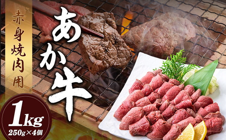 あか牛 赤身焼肉用 1kg (250g×4個) 有限会社白水乃蔵《60日以内に出荷予定(土日祝除く)》あか牛 あかうし 赤牛 焼肉 冷凍 小分けパック