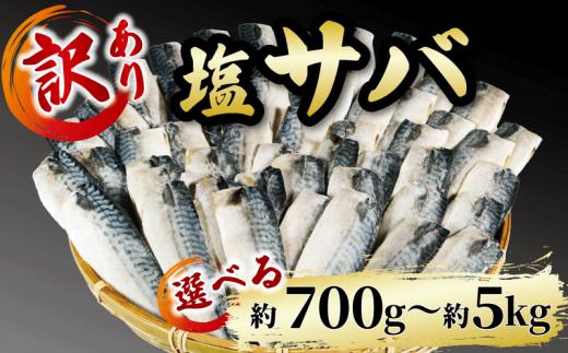 訳あり 塩サバ 約700g 冷凍 鯖 塩 さば 魚 さかな 海鮮 海産物 おかず ご飯 おすすめ 人気 愛知県 南知多町 【配送不可地域：離島】