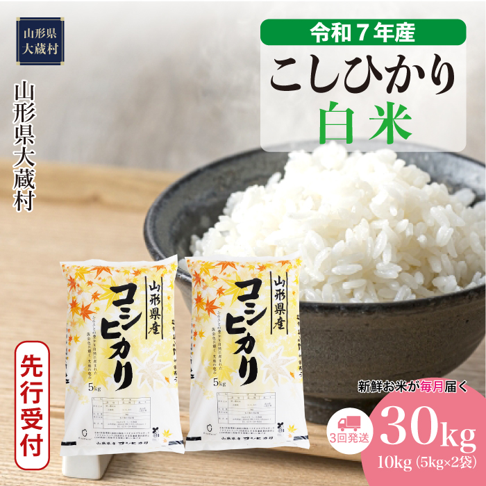 ＜令和7年産米先行受付＞ 大蔵村産 こしひかり 【白米】30kg定期便 (10kg×3回)　配送時期指定できます！