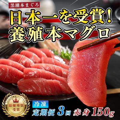 ふるさと納税 大月町 まぐろ マグロ 本鮪 黒潮本まぐろ 赤身 定期便 3回 150g × 3回 刺身 柵 冷凍 産地直送
