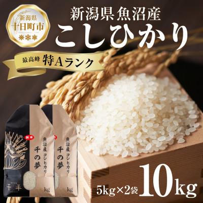ふるさと納税 十日町市 魚沼産 コシヒカリ 精米 10kg 産地直送 新潟県十日町市