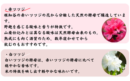 日本酒 飲み比べ 蔵元分離酵母仕込 720ml×2本 根知男山 花酵母 720ml×2本 赤・白 2種セット 自社栽培米使用 天然酵母 地酒 新潟 糸魚川 蔵元直送 酒米 こだわりの酒 ドメーヌ・スタ
