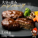 【ふるさと納税】大分の恵みハンバーグ 1.6kg (160g×10個) 牛肉 豚肉 ハンバーグ おかず お弁当 惣菜 冷凍 大分県産 九州産 国産 共通返礼品 中津市 豊後高田市 日出町 佐伯市 杵築市 竹田市 国東市 大分市 送料無料