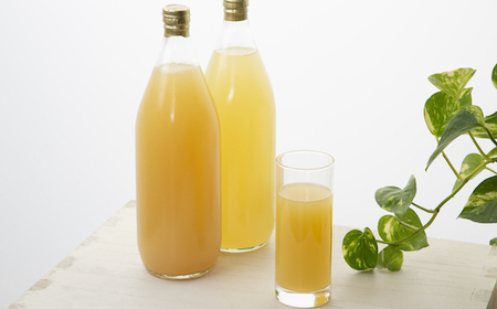 Y222 鳥取県産梨 新甘泉ジュース2本セット
