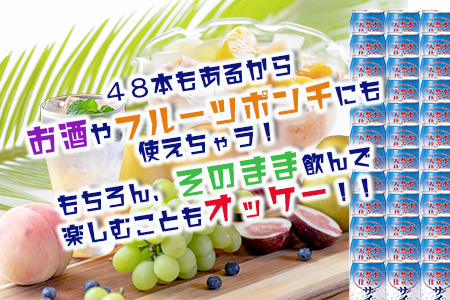 天然水仕立てサイダー 【350ml缶×24本入】×2ケース【飲み切りサイズ】サイダー 箱買い B-660