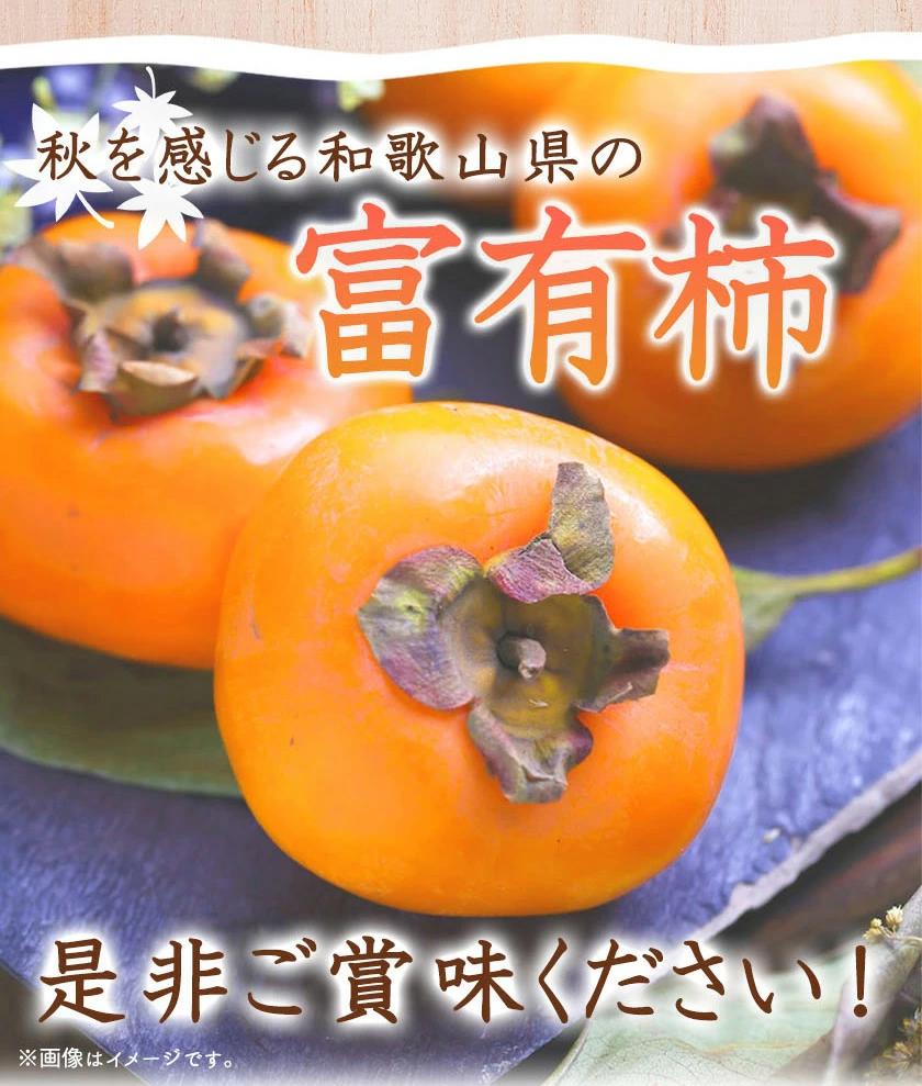 和歌山秋の味覚　富有柿　約４ｋｇ化粧箱入「2025年11月上旬以降発送予定」【UT50】