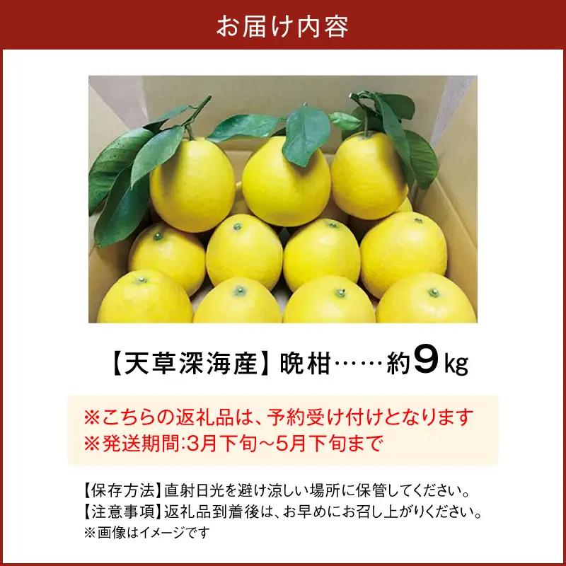 S062-001A_【天草深海産】晩柑 約9㎏【先行受付】 / 晩柑 柑橘 みかん フルーツ