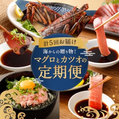 tk006海からの贈り物！マグロとカツオの定期便【５回お届け】 海鮮 魚 刺身 まぐろ 鮪 かつお 鰹 たたき 高知