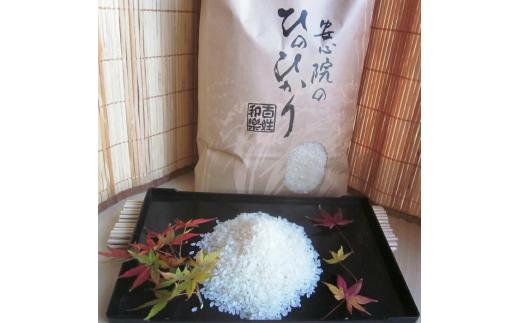 ＜新米・令和6年産＞安心院産ひのひかり 精米 (10kg) 米 お米 ひのひかり ヒノヒカリ 精米 白米 ご飯 大分県産【101200800】【百姓和楽】