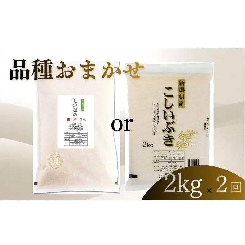 【8月下旬より配送】 新潟県産 品種おまかせ 2kg  2か月定期便 新潟県 新潟市産 令和7年産 お米 精米 米 ご飯 送料無料