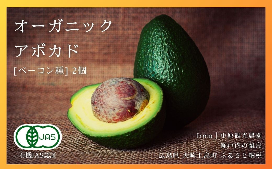 
            国産 オーガニックアボカド [ベーコン種] 2個　11〜12月発送 有機JAS認証 瀬戸内 大崎上島 有機 濃厚 アボカド
          