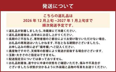 絢音ベリー農園 ＂絢＂ いちご 1kg （250g×4P ） 先行予約 【2026年12月上旬発送開始】 ゆうべに 熊本県 高級 フルーツ ギフト 厳選 希少