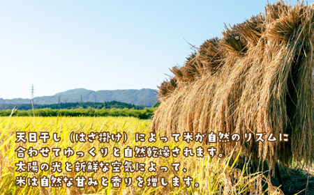 健幸農園の天日干し米5kg