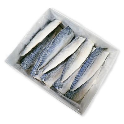 ふるさと納税 根室市 無添加天然サバフィーレ20枚 A-11080 |  | 03