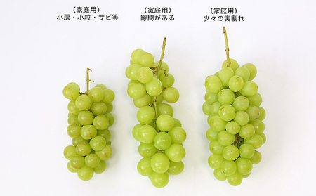 [訳あり]やまがたのぶどう シャインマスカット 9月 優品 約1kg(1～3房程度) 【令和6年産先行予約】FS23-818